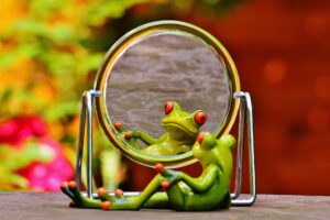 frog 300x200